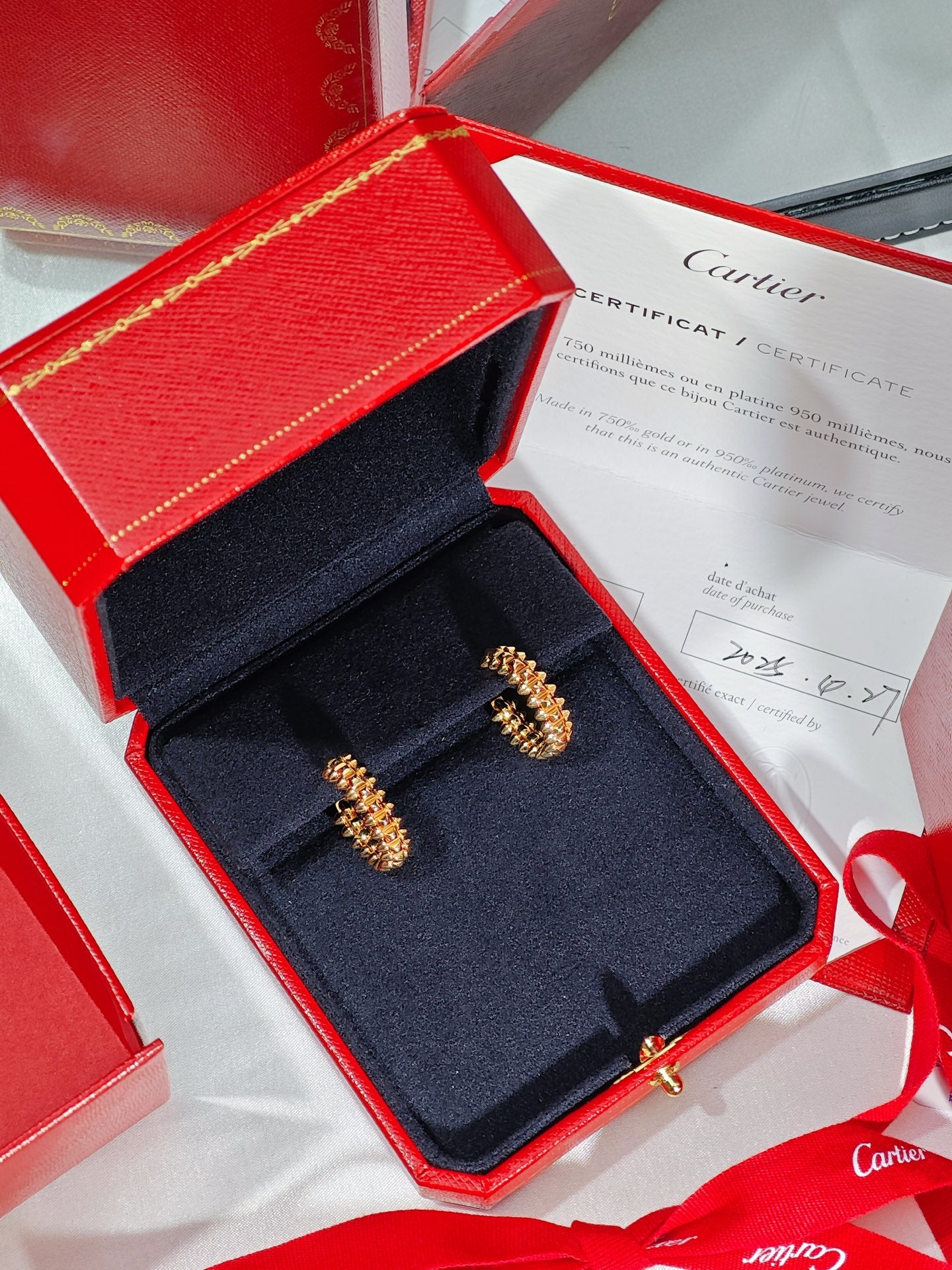Cartier Clash de Cartier Small Model Hoop Earrings